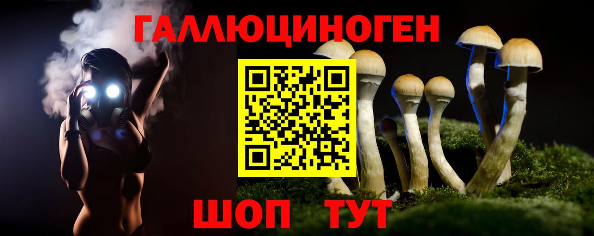 Галлюциногенные грибы MAGIC MUSHROOMS Томск